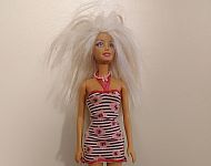 Barbie im Kurzkleid - Schwäbisch Gmünd